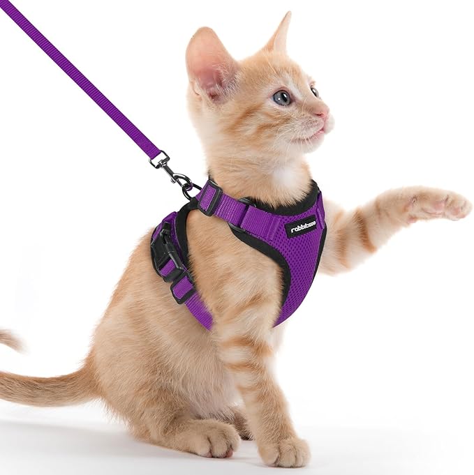 rabbitgoo Cat Harness and Leash for Walking, Escape Proof Soft Adjustable Vest Harnesses for Cats, Easy Control Breathable Reflective Strips Jacket, Purple, XXS