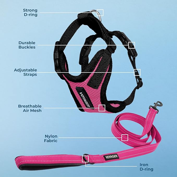 Voyager Step-in Lock Dog Harness w Reflective Dog Leash Combo Set with Neoprene Handle 5ft - Supports Small, Medium and Large Breed Puppies/Cats by Best Pet Supplies - Fuchsia/Black Trim, S