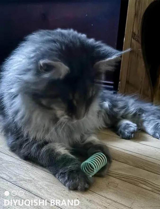 19-Piece Cat Toys Pack - 5 Bell Balls, 10 Plush Balls, 4 Spring Toys - Kitten Toys for Indoor Cats