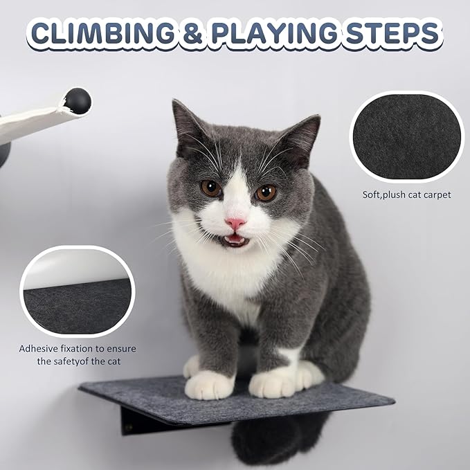 Cat Wall Shelves Climber Cat Shelf for Wall Cat Climbing Wall Mounted Cat Furniture 2 Set Cat Stairs Cat Steps Cat Ladder