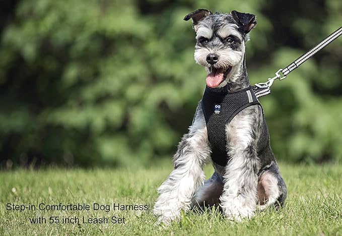 Cat Harness and Leash for Walking Escape Proof, Adjustable Soft Mesh Comfortable Vest Harnesses, Breathable Reflective Strips Step-in Jacket