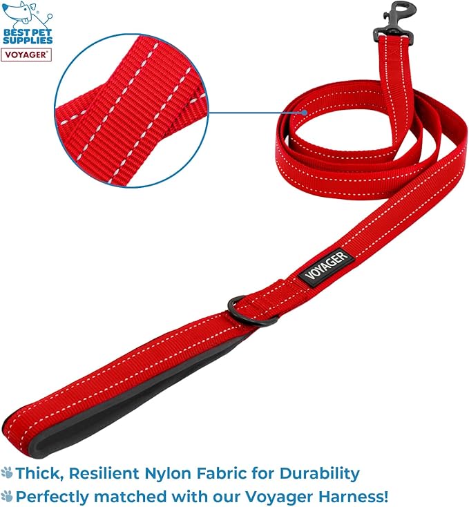 Voyager Step-in Lock Adjustable Cat Harness w. Cat Leash Combo Set with Neoprene Handle 5ft - Supports Small, Medium and Large Breed Cats by Best Pet Supplies - Red, XXXS