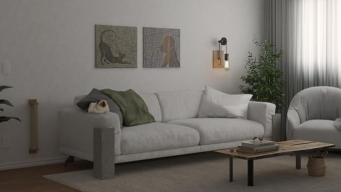 Cat Scratcher Sofa Protector – Couch Corner Cat Scratching Post, Carpet Cat Scratch for Indoor Cats, Furniture Scratch Guard (23 in, Graphite)