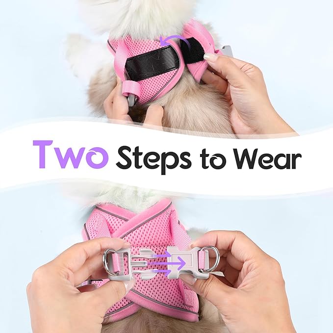 Dooradar Cat Harness and Leash Set, Escape Proof Lightweight Kitten Harness, Soft Breathable Reflective Vest for Outdoor Walking Traveling, Adjustable for Small Cats, Purple & Pink, S
