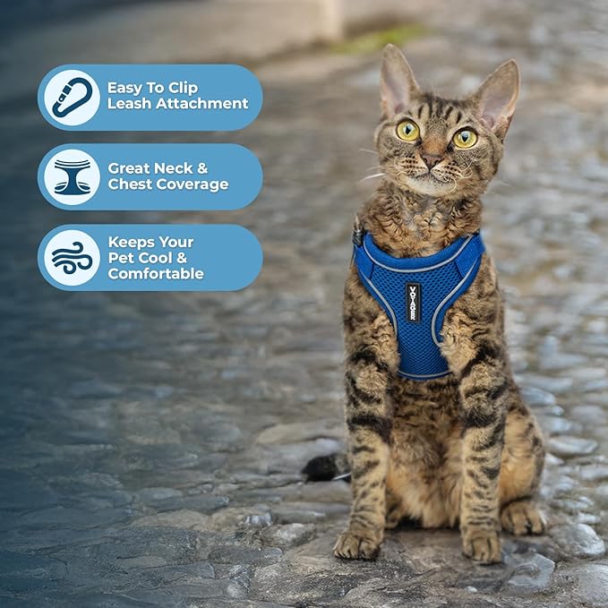Voyager Escape Proof Cat Harness and Leash Set with Reflective Stitching, Neoprene Handle 5ft - Supports Small, Medium and Large Cats, Kittens for Walking by Best Pet Supplies - Royal Blue, XXXS