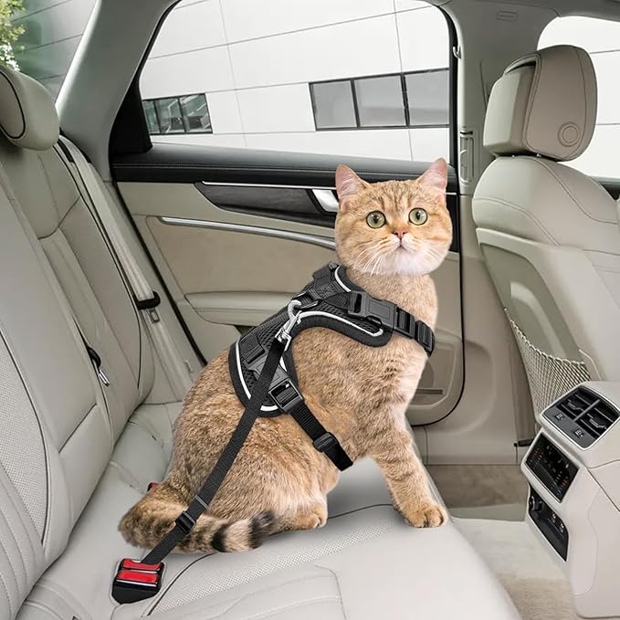 Cat Harness, Cat Car Harness and Leash for Walking, Escape Proof Soft Adjustable Vest Harnesses for Cats, Easy Control Breathable Reflective Strips Harness, Kitten Harness and Leash Set, Black, S