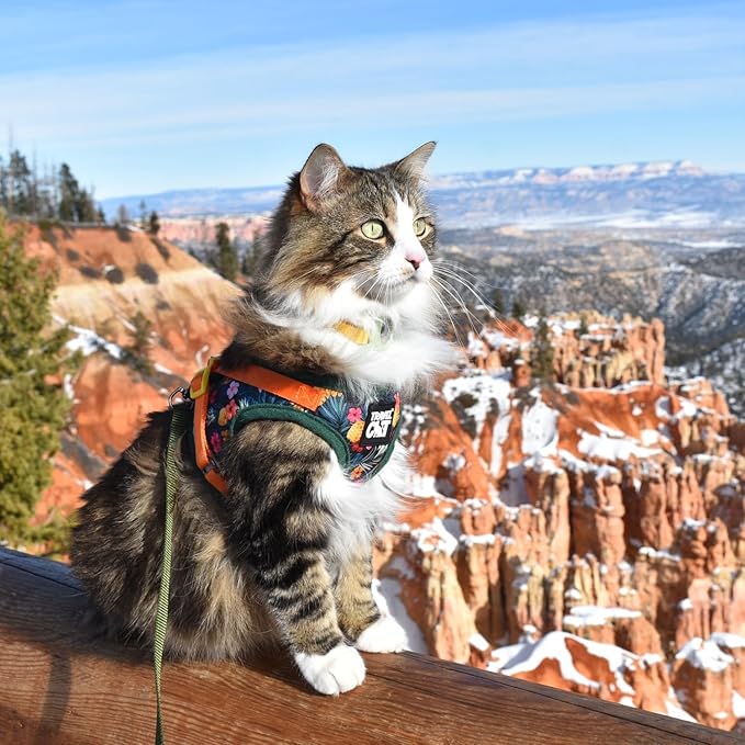 Travel Cat Harness and Leash Set - Adjustable Fit Mesh Cat Harness and Reflective Strap - Comfort Escape Proof Harness for Cats, Kitten for Outdoor Walking, Hiking (XS, Hawaiian)