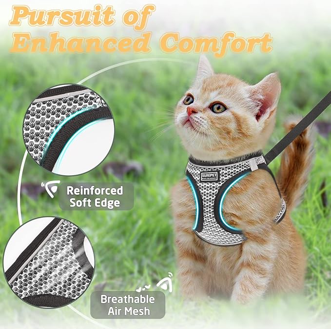 Cat Harness and Leash for Walking Escape Proof, Adjustable Kitten Vest Harness Reflective Soft Mesh Puppy Harness for Outdoor, Comfort Fit, Easy to Control (Gray, XXS)