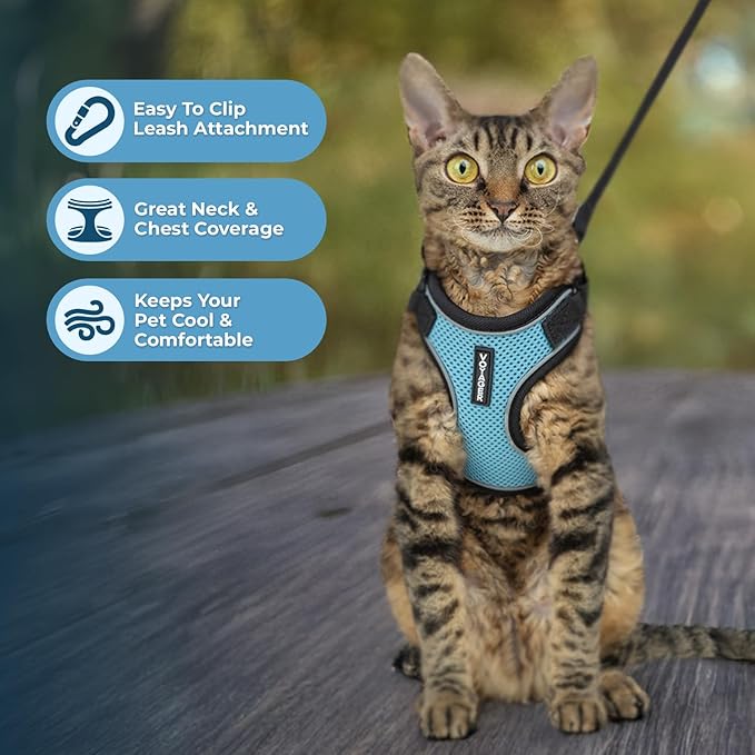 Voyager Escape Proof Cat Harness and Leash Set with Reflective Stitching, Neoprene Handle 5ft - Supports Small, Medium and Large Cats, Kittens for Walking by Best Pet Supplies - BT-Baby Blue, XS