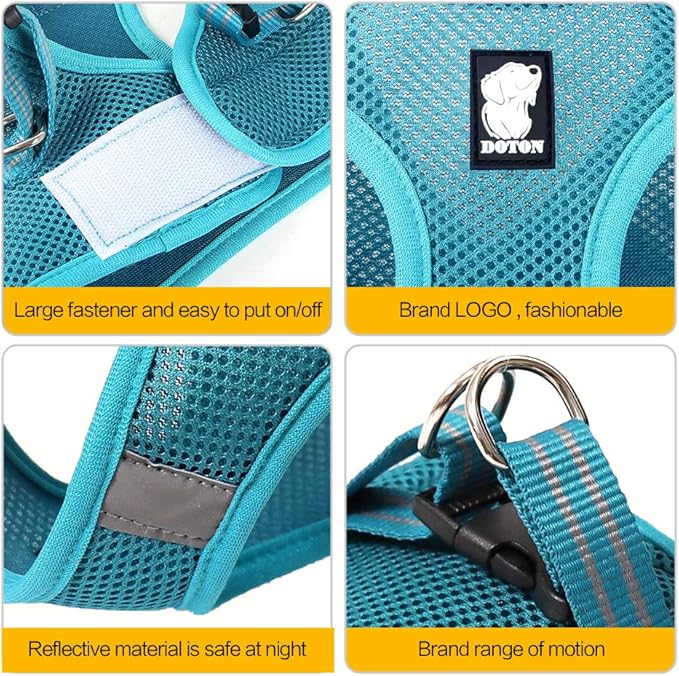 Heywean Cat Harness and Leash - Ultra Light Escape Proof Kitten Collar Cat Walking Jacket with Running Cushioning Soft and Comfortable Suitable for Puppies Rabbits (M, Turquoise)