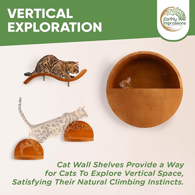 Modern Floating Wall Cat Shelves with Hiding Perch - 4 Piece Set for Climbing & Lounging - Stylish Wall-Mounted Cat Furniture