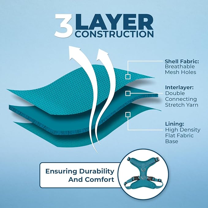 Voyager Escape Proof Cat Harness and Leash Set with Reflective Stitching, Neoprene Handle 5ft - Supports Small, Medium and Large Cats, Kittens for Walking by Best Pet Supplies - Turquoise, XXS