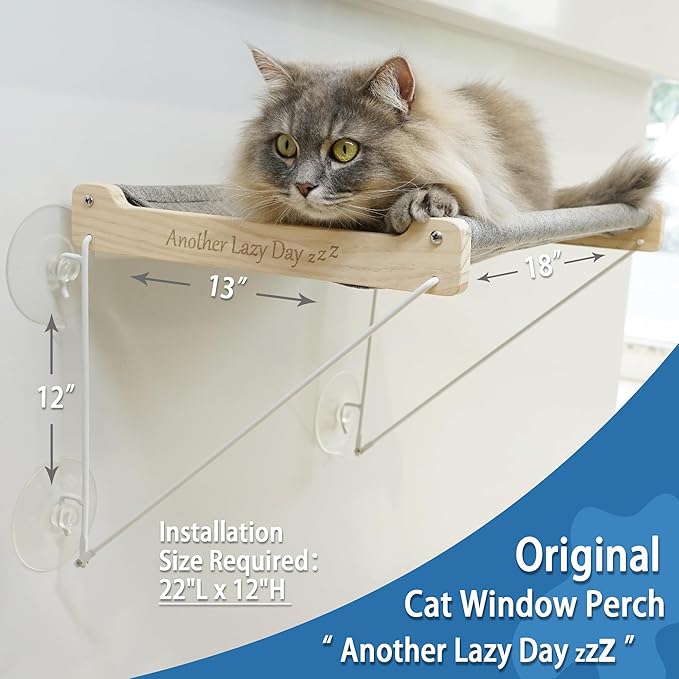 PETKARAY Cat Window Perch, Foldable Cat Hammock for Window, Stable Window Shelves for Indoor Cats, Set Includes 2 Pack of Window Stairs