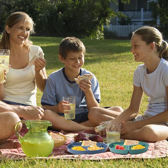 9.5 Inch Divided Plates Portion Control Plates 8 Pcs, Wheat Straw Dinner Plates, Microwave & Dishwasher Safe Bariatric Plate for Portion Control (Multicolor)