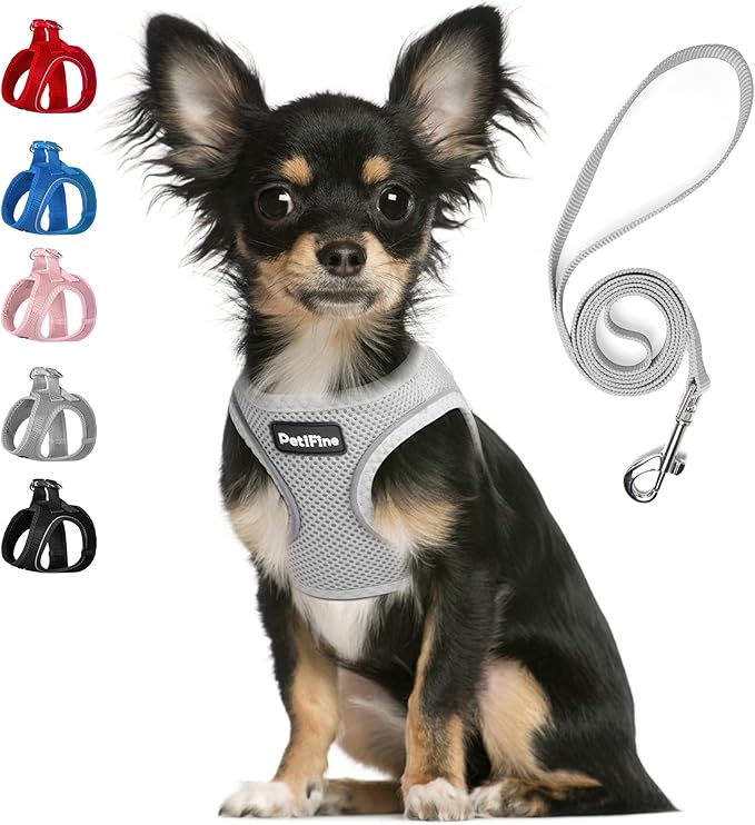 PetiFine Step in Small Dog Harness and Leash Set, Breathable All Weather Air Mesh Reflective Escape Proof, Step-in Vest Harnesses for Puppy(XS, Grey)