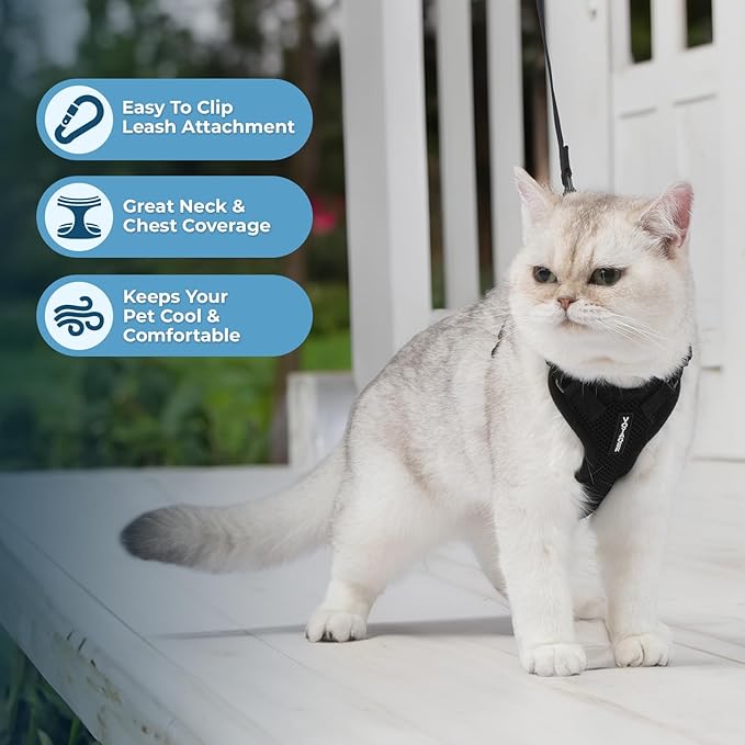 Voyager Step-in Lock Adjustable Cat Harness w. Cat Leash Combo Set with Neoprene Handle 5ft - Supports Small, Medium and Large Breed Cats by Best Pet Supplies - Black, S
