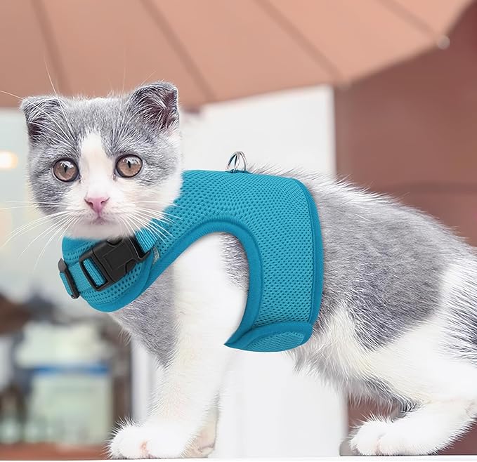 MoNiBloom Soft Cat Harness for Walking Escape Proof and Travel, Kitten Adjustable Breathable Vest Harness - Sky Blue, M