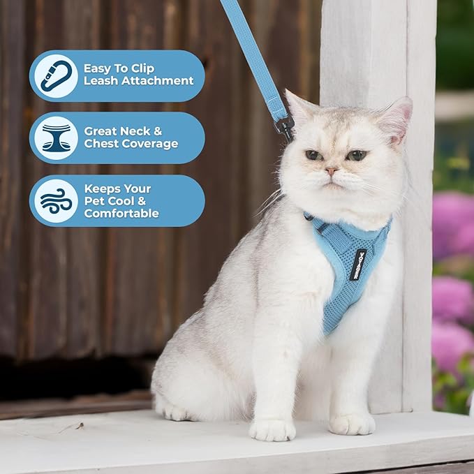 Voyager Step-in Lock Adjustable Cat Harness w. Cat Leash Combo Set with Neoprene Handle 5ft - Supports Small, Medium and Large Breed Cats by Best Pet Supplies - Baby Blue, XXS