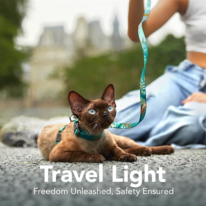 Cat Harness and Leash Set - Escape Proof Vest Harness for Cat, Comfortable Soft Lightweight, Easy Adjustable Cat Collar Harness for Small Medium Cats Safe Waking