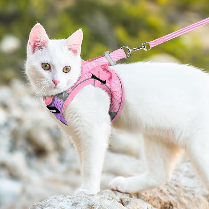 Dooradar Cat Harness and Leash Set, Escape Proof Lightweight Kitten Harness, Soft Breathable Reflective Vest for Outdoor Walking Traveling, Adjustable for Large Cats, Purple & Pink, L