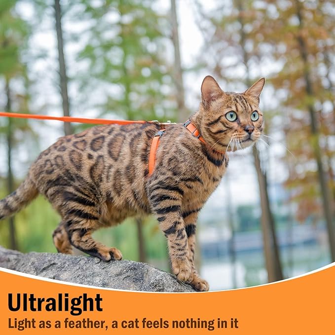 PUPTECK Adjustable Cat Harness and Leash Set Escape Proof Kitten Strap Collar for Walking Travel, Orange, M