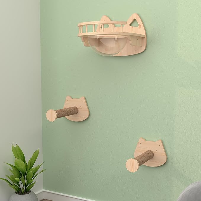 Transparent Capsule Cat Wall Furniture Set of 3, Cat Shelves with 2 Sisal Scratching Steps, Wall Mounted Cat Bed for Kitty or Cats up to 33 lbs