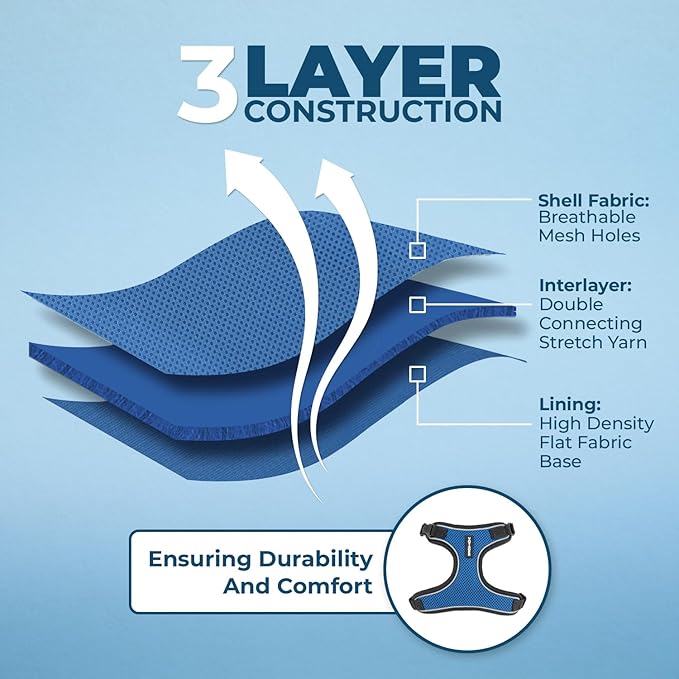 Voyager Escape Proof Cat Harness and Leash Set with Reflective Stitching, Neoprene Handle 5ft - Supports Small, Medium and Large Cats, Kittens for Walking by Best Pet Supplies - BT-Royal Blue, XXS