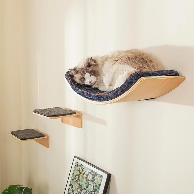 Cat Wall Shelf with Two Steps - Curved Cat Shelves and Perches for Wall (Large Size) - Wall Mounted Cat Furniture for Sleeping, Playing, Climbing, and Lounging