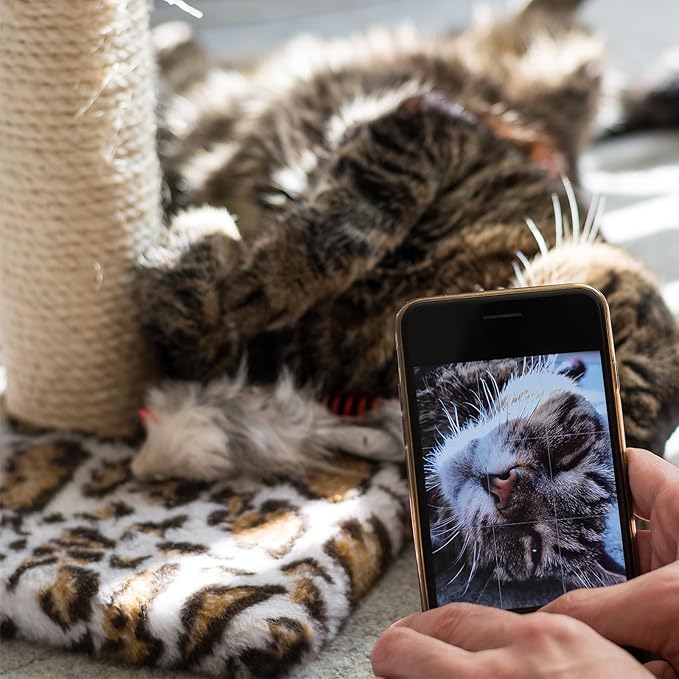 Natural Sisal Rope for Cat Scratcher 1/4 Inch by 200 Feet, Cat Tree Rope Twine for Cat Scratching Post Replacement, Cat Tower with Scratch Post Repairing, Replace, Recovering and DIY, White