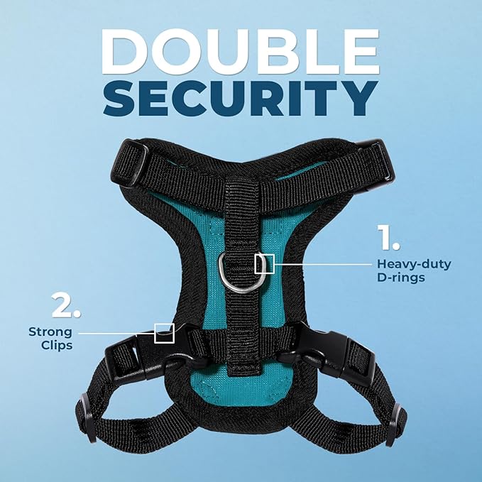 Voyager Step-in Lock Adjustable Cat Harness w. Cat Leash Combo Set with Neoprene Handle 5ft - Supports Small, Medium and Large Breed Cats by Best Pet Supplies - Turquoise/Black Trim, XXS