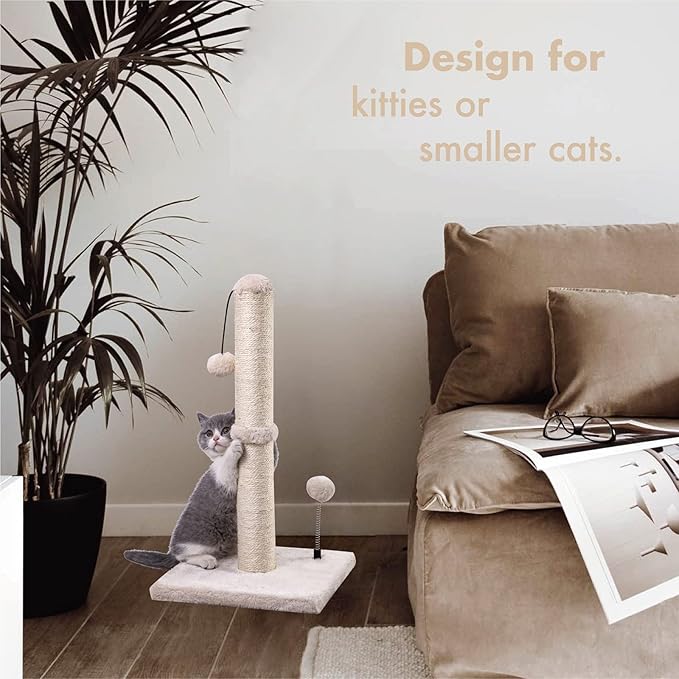 MECOOL Cat Scratching Post Premium Basics Kitten Scratcher Sisal Scratch Posts with Hanging Ball 22in for Kittens or Smaller Cats (22 inches for Kitten, Beige)