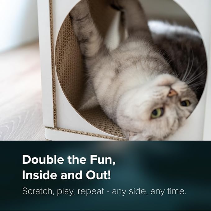Cat Scratcher Tunnel, Cardboard cat House, Scratching Post for Indoor Cats, 360 Degree Comfort, Durable Design, Odor-Free, Easy Assembly, Perfect for Playful Kittens and Adult Cats, White