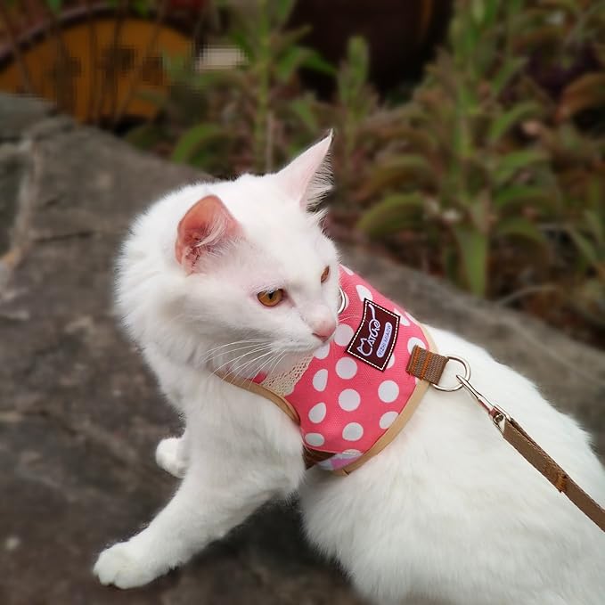Cat Harness and Leash for Walking Escape Proof, Adjustable Cat Vest Harness, Padded Stylish Cat Walking Jackets, Polka Dot Pink, X-Small