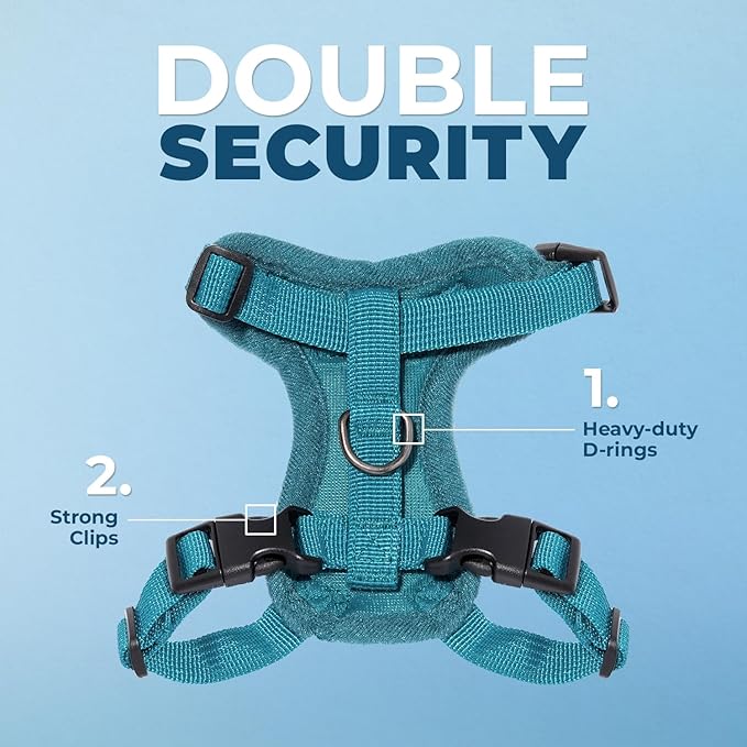 Voyager Step-in Lock Adjustable Cat Harness w. Cat Leash Combo Set with Neoprene Handle 5ft - Supports Small, Medium and Large Breed Cats by Best Pet Supplies - Turquoise, S