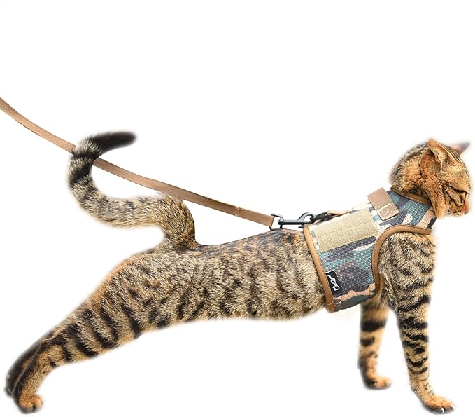 Tactical Kitty Harness and Leash for Walking Escape Proof Breathable Mesh Fabric, Jungle Camo, X-Small, Adjustable Cat Walking Jackets, Padded Stylish Cat Vest