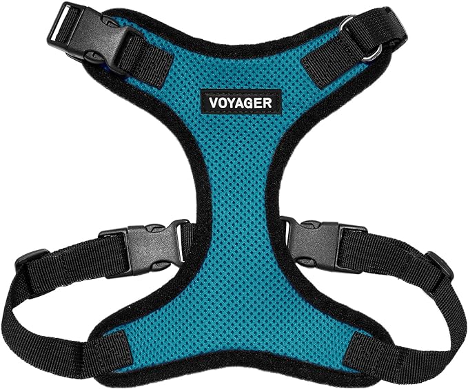 Voyager Step-in Lock Pet Harness - All Weather Mesh, Adjustable Step in Harness for Cats and Dogs by Best Pet Supplies - Turquoise/Black Trim, XL