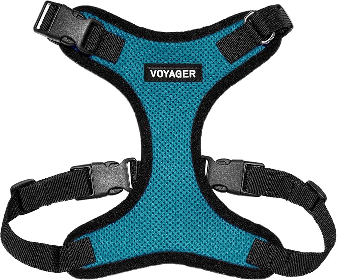 Voyager Step-in Lock Pet Harness - All Weather Mesh, Adjustable Step in Harness for Cats and Dogs by Best Pet Supplies - Turquoise/Black Trim, M