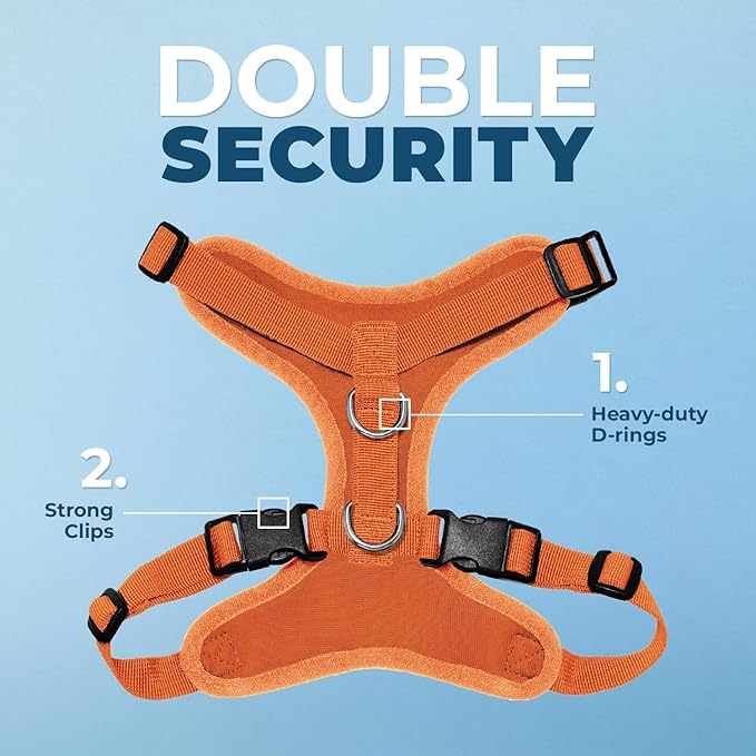 Voyager Step-in Lock Dog Harness w Reflective Dog Leash Combo Set with Neoprene Handle 5ft - Supports Small, Medium and Large Breed Puppies/Cats by Best Pet Supplies - Orange, XS