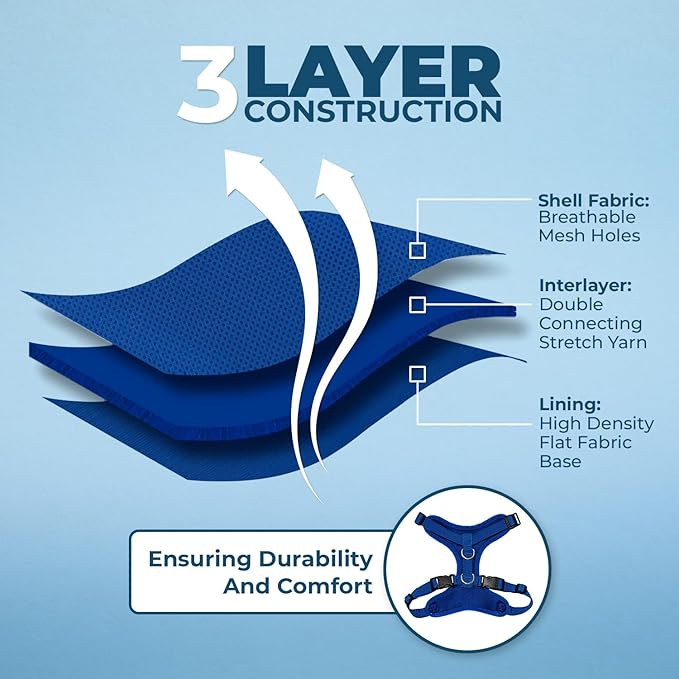 Voyager Step-in Lock Dog Harness w Reflective Dog Leash Combo Set with Neoprene Handle 5ft - Supports Small, Medium and Large Breed Puppies/Cats by Best Pet Supplies - Royal Blue, S