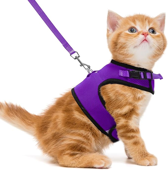 PUPTECK Soft Mesh Cat Vest Harness and Leash Set Puppy Padded Pet Harnesses Escape Proof for Cats Small Dogs, Purple Small