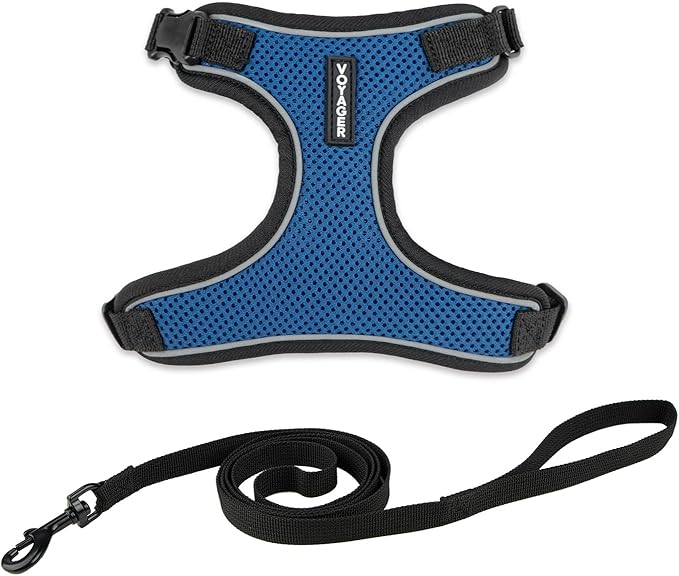 Voyager Escape Proof Cat Harness and Leash Set with Reflective Stitching, Neoprene Handle 5ft - Supports Small, Medium and Large Cats, Kittens for Walking by Best Pet Supplies - BT-Royal Blue, S
