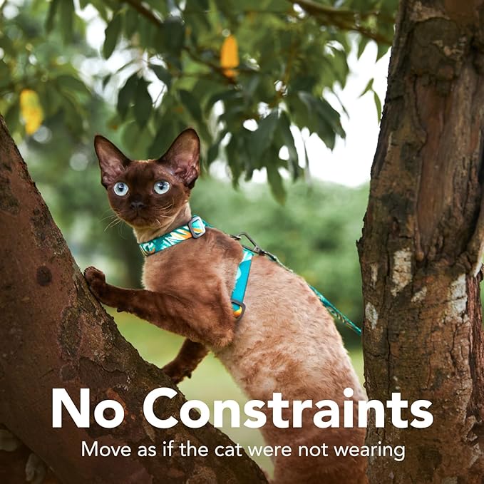Cat Harness and Leash Set - Escape Proof Vest Harness for Cat, Comfortable Soft Lightweight, Easy Adjustable Cat Collar Harness for Small Medium Cats Safe Waking