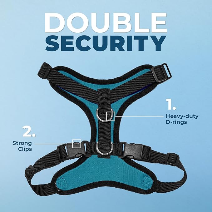 Voyager Step-in Lock Dog Harness w Reflective Dog Leash Combo Set with Neoprene Handle 5ft - Supports Small, Medium and Large Breed Puppies/Cats by Best Pet Supplies - Turquoise/Black Trim, XL
