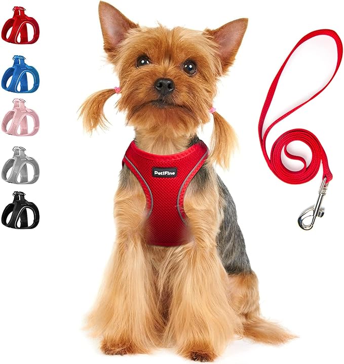 PetiFine Extra Small Step in Dog Harness and Leash Set, Cat Harness and Leash Escape Proof, All Weather Mesh Reflective, Step-in Air Vest Harnesses for Puppy(XXXS, Red)