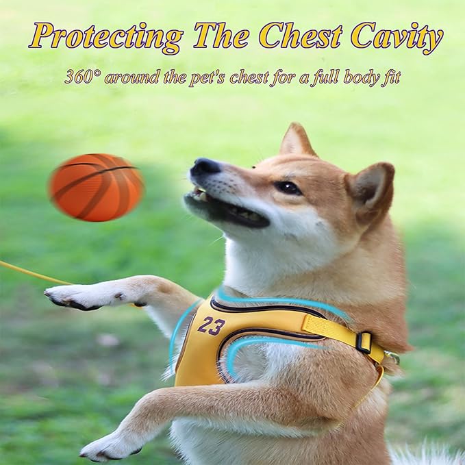 Dog Vest Harness Breathable-Escape Proof Dog Harness -Adjustable Reflective Number Dogs Vest with Outdoor Pet Leash, Easy Control for Small,Medium Breeds (Yellow,M)