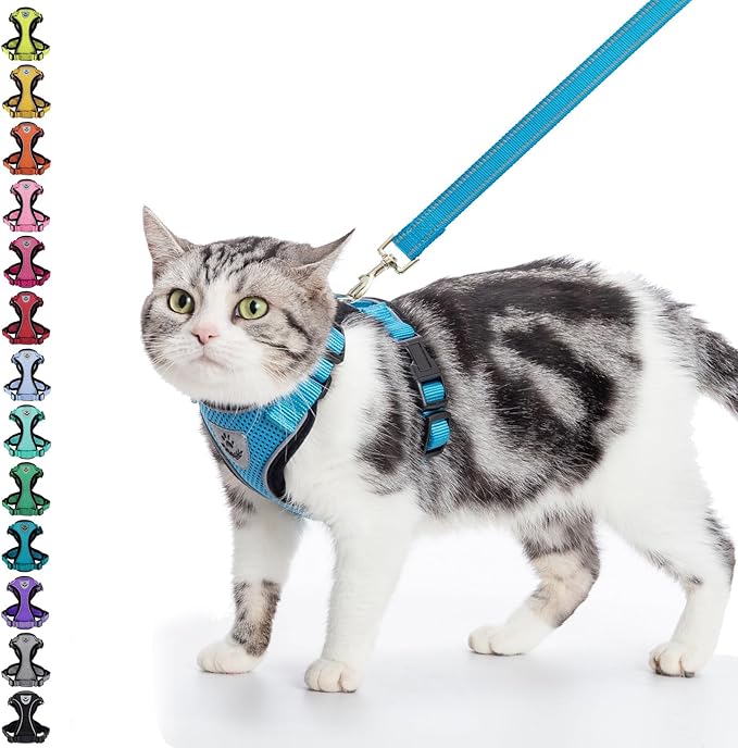 PUPTECK Cat Harness and Leash Set Escape Proof Reflective Cat Walking Harness Adjustable Soft Breathable Mesh Vest for Small Pets, Blue, S
