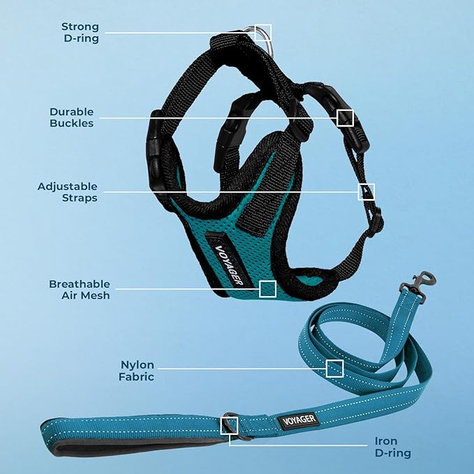 Voyager Step-in Lock Dog Harness w Reflective Dog Leash Combo Set with Neoprene Handle 5ft - Supports Small, Medium and Large Breed Puppies/Cats by Best Pet Supplies - Turquoise/Black Trim, XS