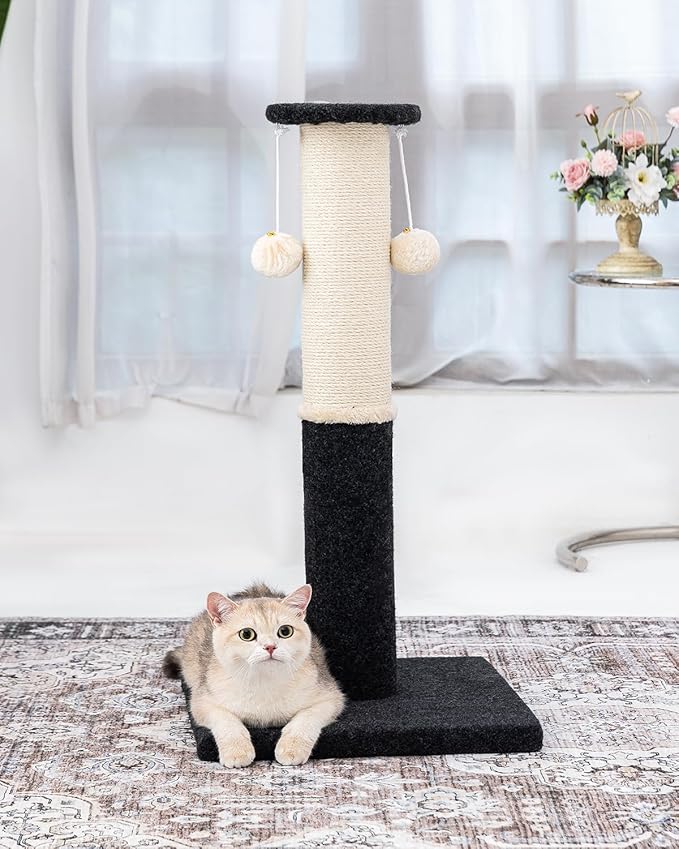 34-Inch Tall Cat Scratching Post for Indoor Cats, Large Carpet Scratch Post, Sisal Cat Scratcher, Sturdy and Durable Cat Post with Hanging Ball