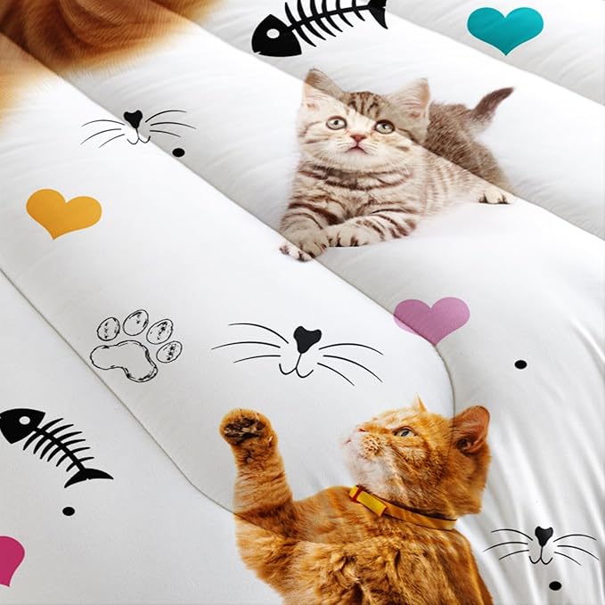AILONEN Kids Kitten Cat Comforter Set Twin Size,Kawaii Cat Bedding for Girls,Cute Pet Animal Cat Duvet Set 3 Piece,1 Comforter with 2 Pillowcases,Cartoon