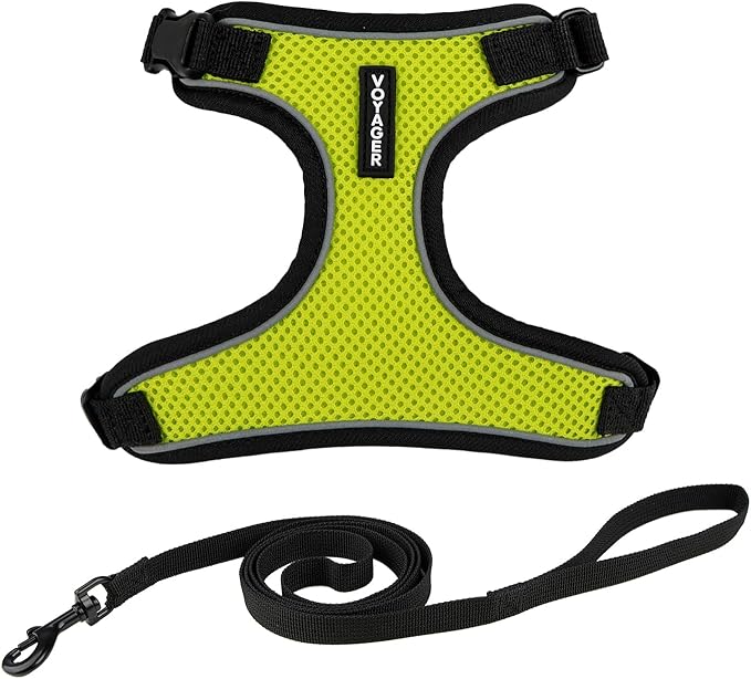 Voyager Escape Proof Cat Harness and Leash Set with Reflective Stitching, Neoprene Handle 5ft - Supports Small, Medium and Large Cats, Kittens for Walking by Best Pet Supplies - Black Trim-Lime, S
